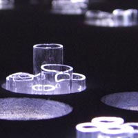 Link image for Exposed gallery